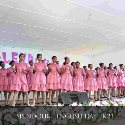 Img 7388 Img 7388