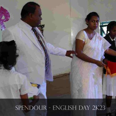 Img 7419 Img 7419