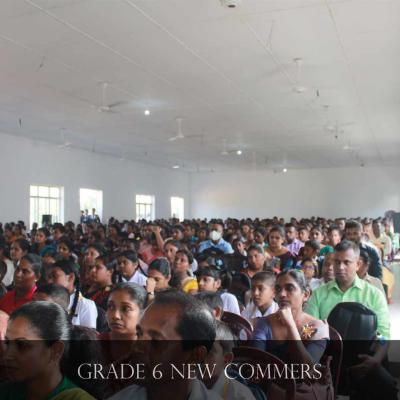 Img 9958 Img 9958